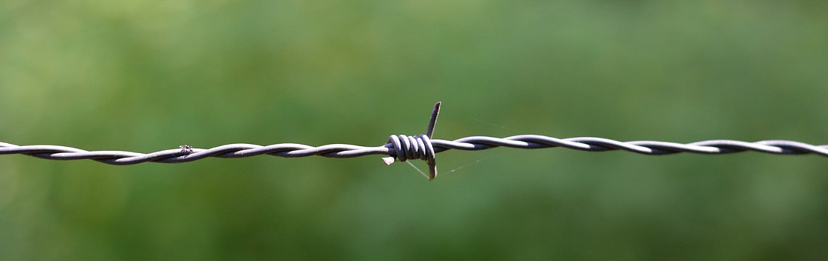 Barbed wire