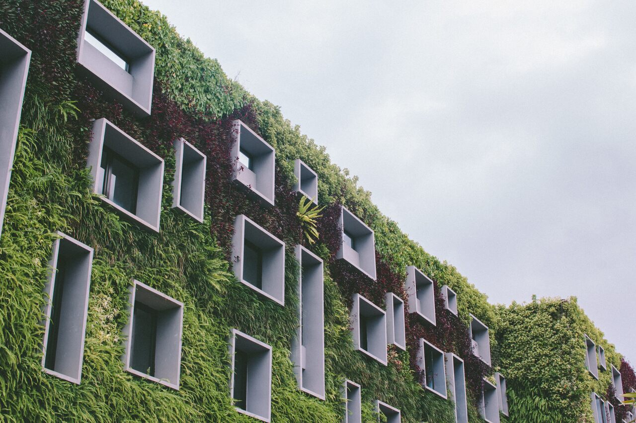 A building where all windows are surrounded by plants