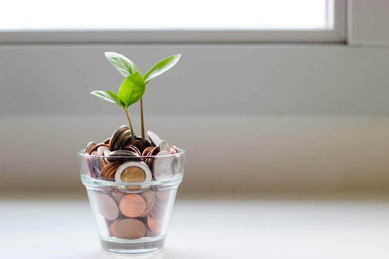 A plant growing out of a pile of coins