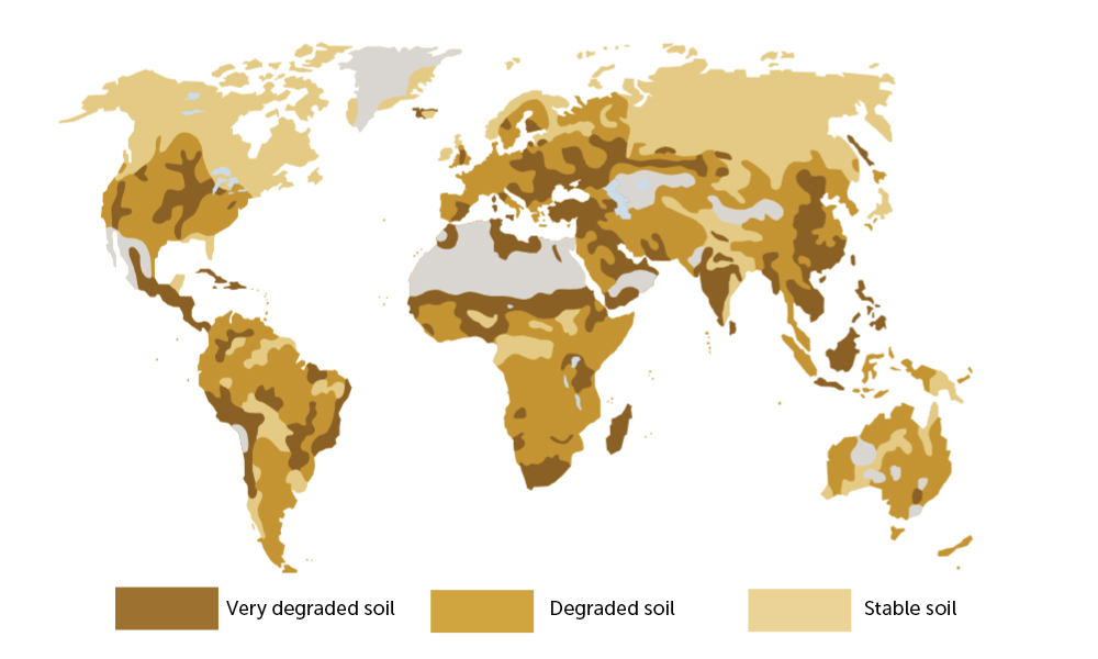 Global Land Degradation