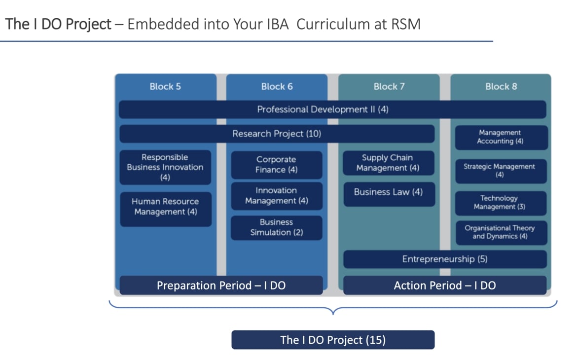 Course structure IBA2
