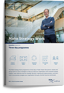 Make Strategy Work brochure