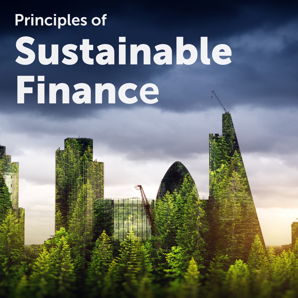 Principles of sustainable finance