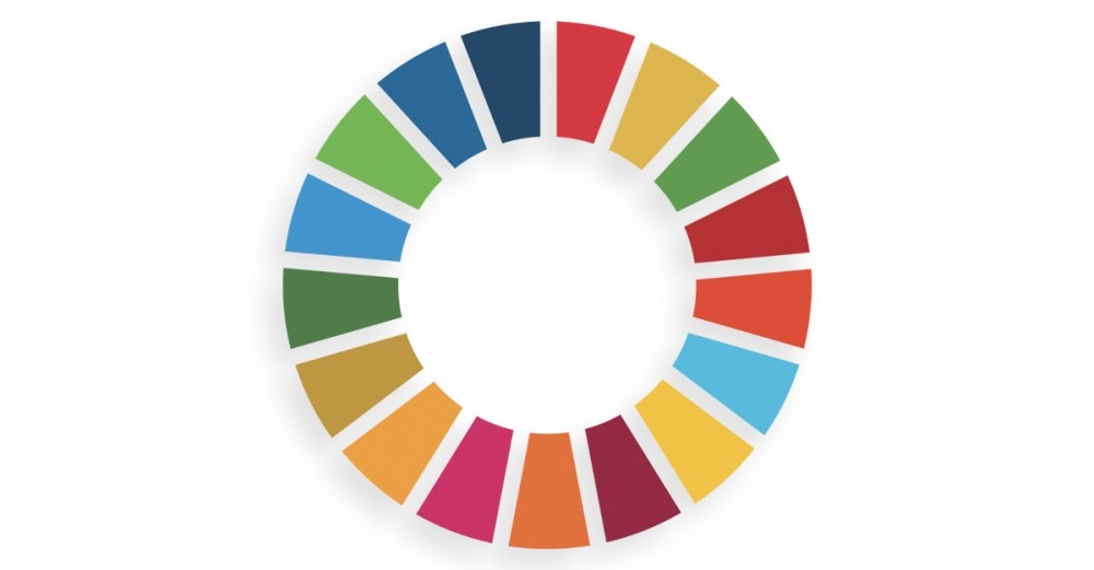 Portrait of the SDGs