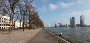 River in Rotterdam