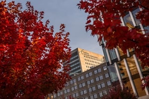 Erasmus University Campus