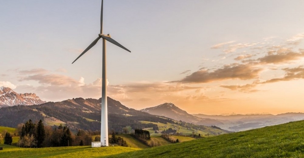 Portrait of wind turbines