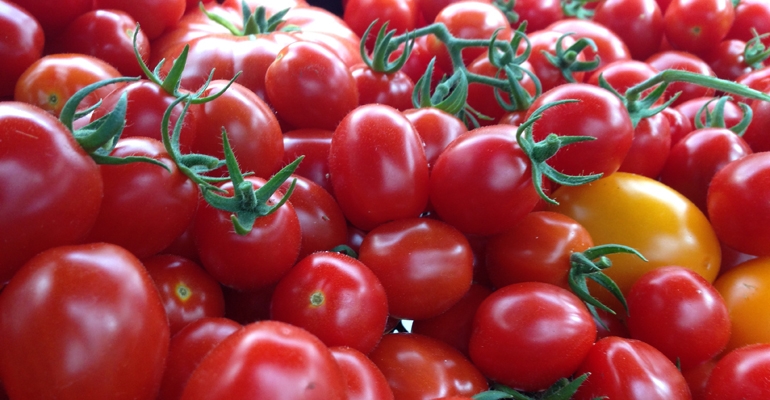EMBA students fight food waste through The Hague innovation contest