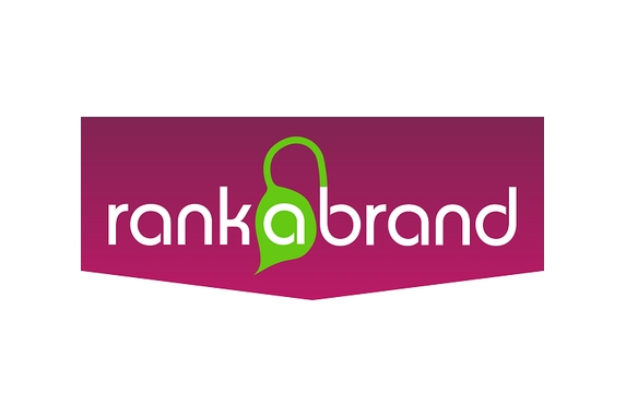 RSM master students do brand research in sustainability course