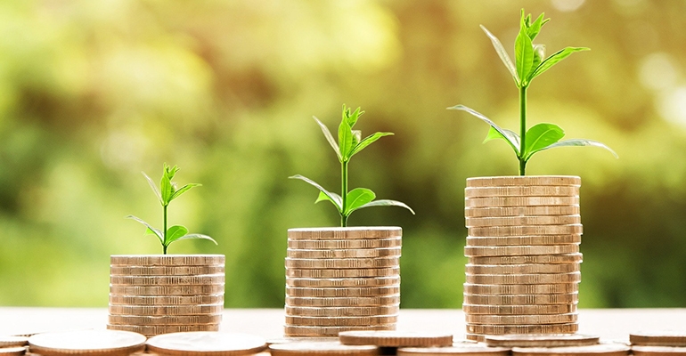 New case explores sustainable investments, profit and purpose
