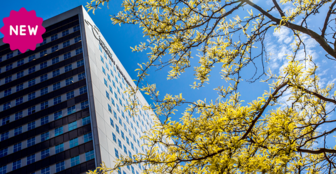 Corporate Purpose, Leadership and Communication