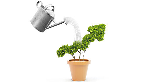 watering a plant