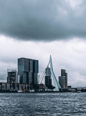 Erasmus bridge