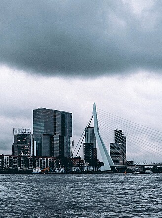 Erasmus bridge