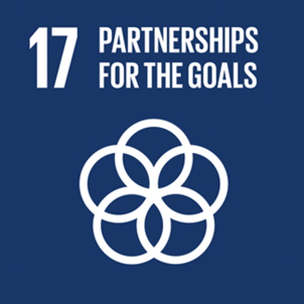 17: Partnerships to achieve the Goal