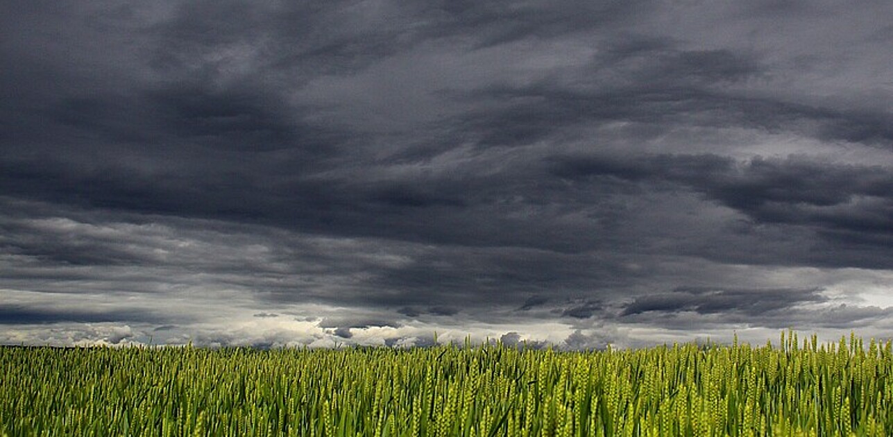 Storm over field.