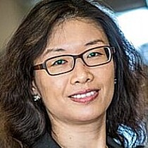 Profile picture of Professor Ting Li