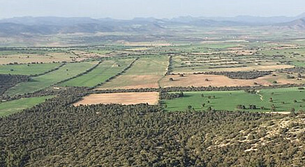 Organic farm in La Junquera