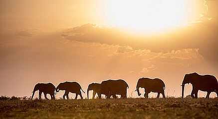 Wildlife Film Festival Rotterdam