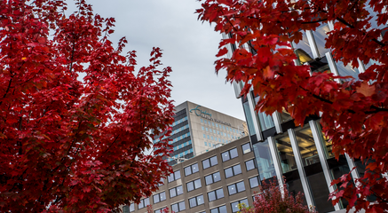 Campus building between trees