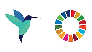 A stylized hummingbird next to a circular icon representing the UN Sustainable Development Goals, arranged in a colorful wheel.