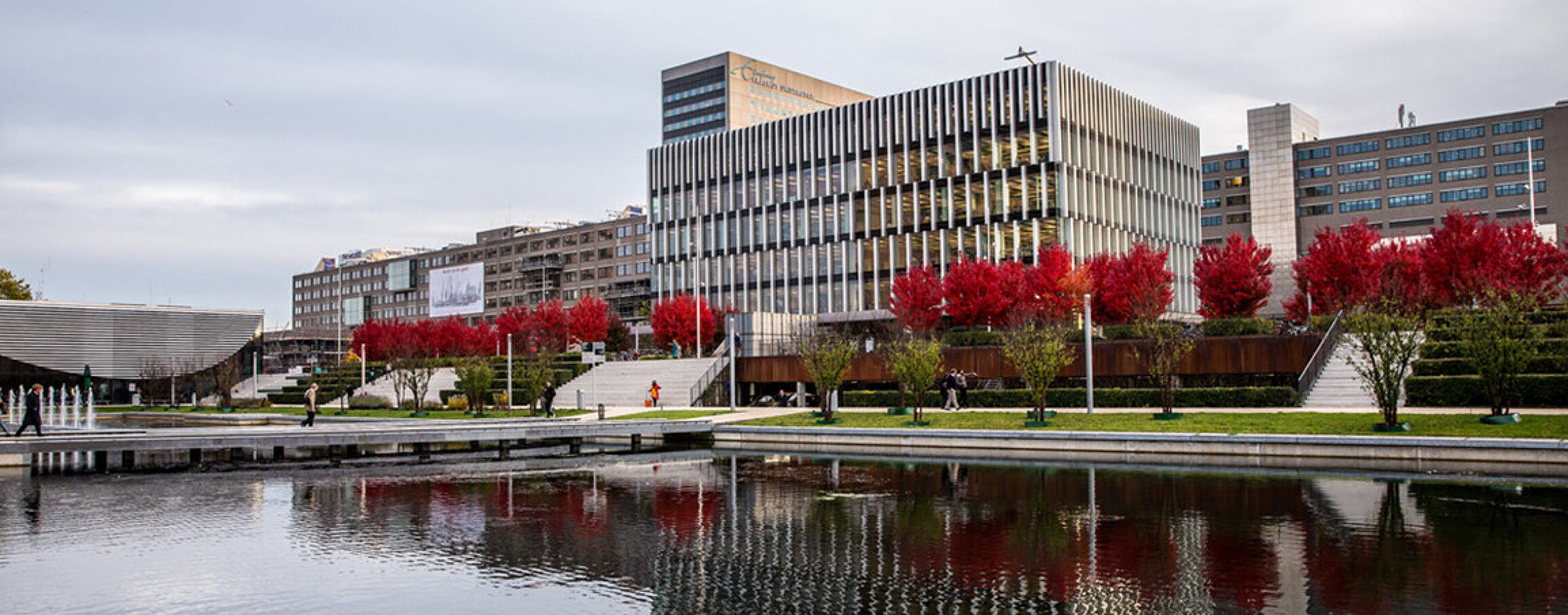 Campus Woudestein in autumn