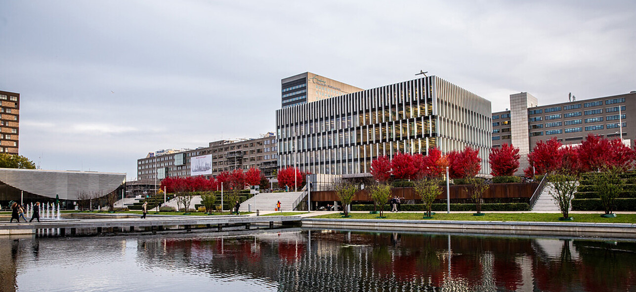 [Translate to Dutch:] Campus Woudestein in autumn