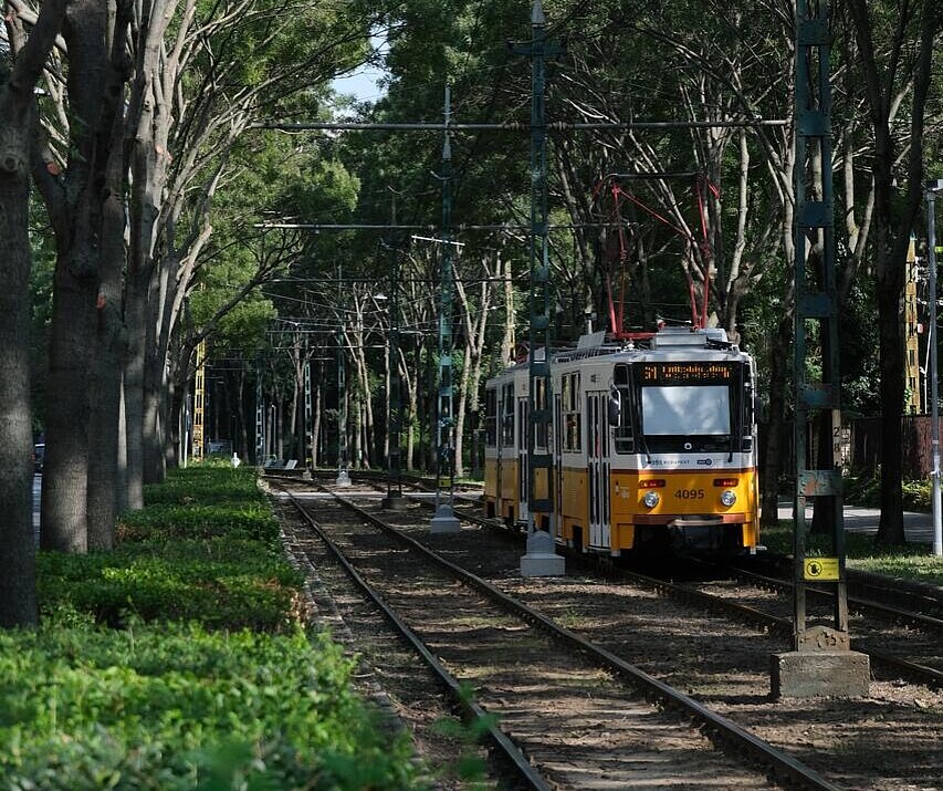 Tram gliding through a lush green area, with tall trees flanking both sides, showcasing urban transit in harmony with nature.