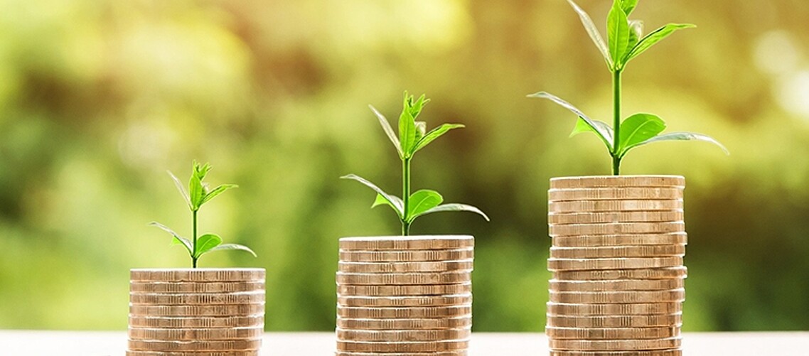 CDC sustainable finance