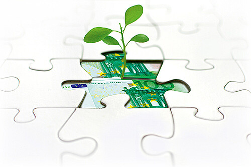 A puzzle piece is replace by a 100 bill, which a small plant is growing out of