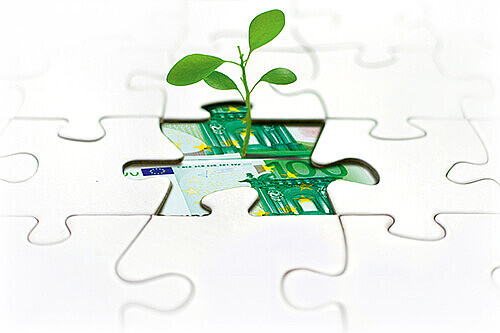 A puzzle piece is replace by a 100 bill, which a small plant is growing out of