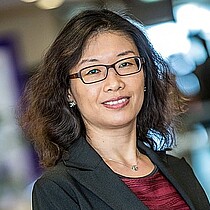 Prof. Ting Li