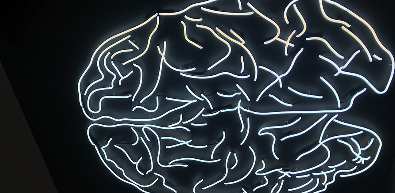brain scan