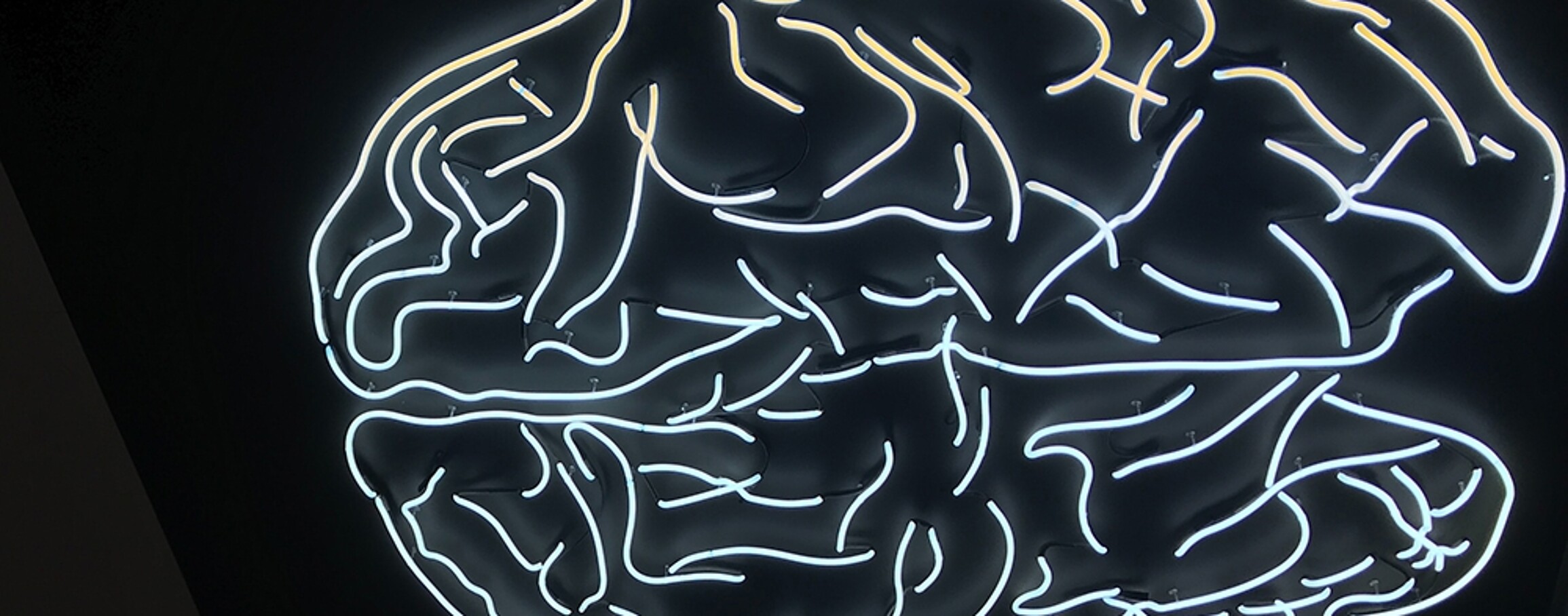 A drawn brain