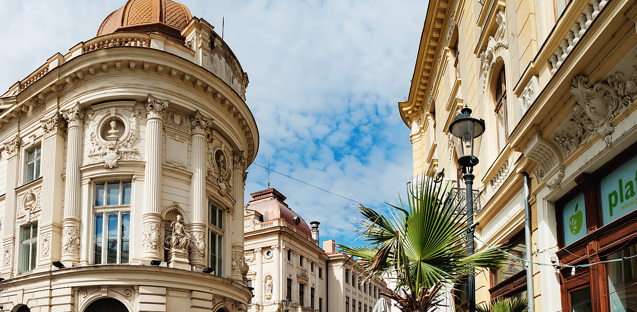 Romania alumni chapter banner