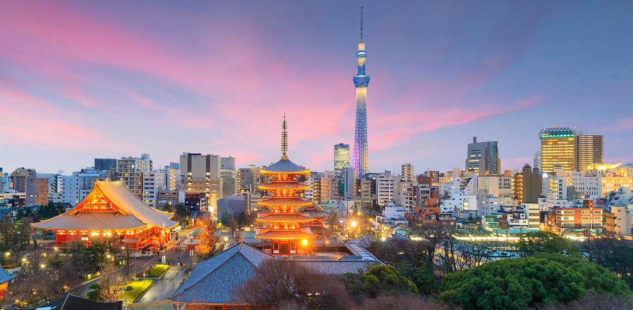 Japan alumni chapter banner