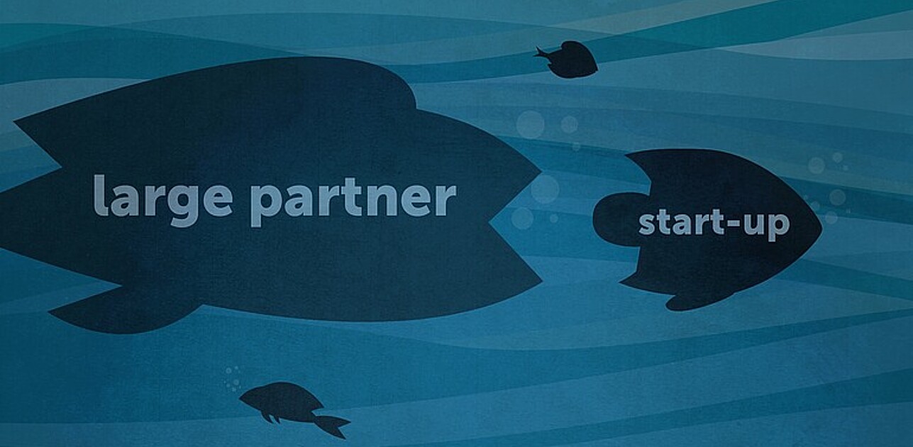 One large fish labeled large partner eating a small fish labelled start-up.