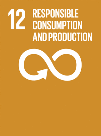 SDG 12: Responsible consumption and production