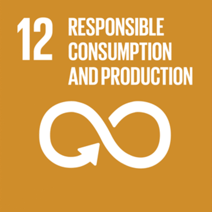 12: Responsible Consumption and Production