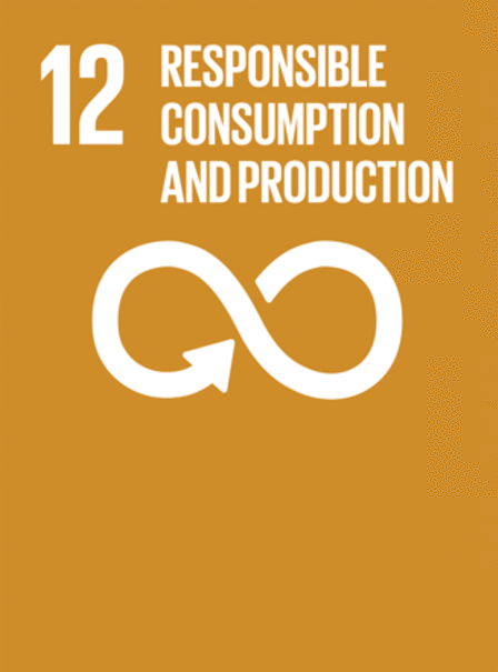 12: Responsible Consumption and Production