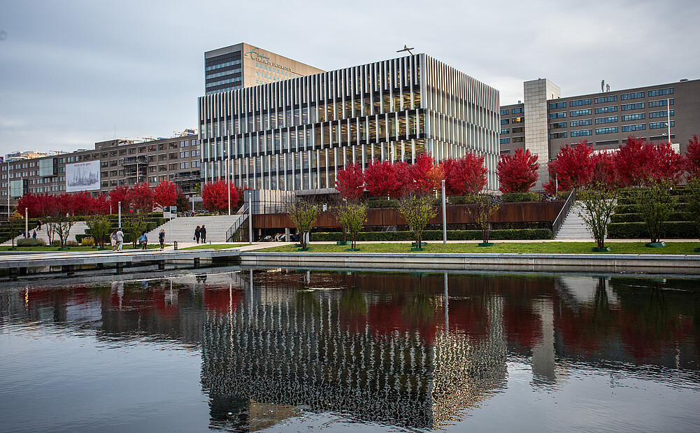 Erasmus University campus in autumn, showcasing its iconic red trees, viewed from across the campus pool.