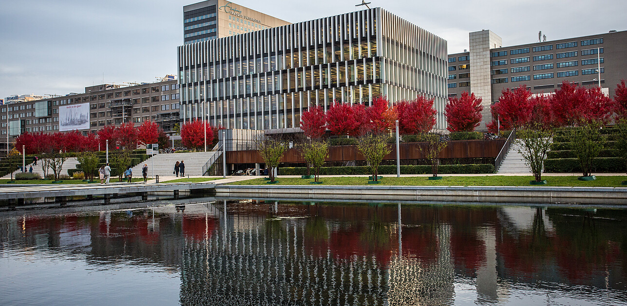 Erasmus University campus in autumn, showcasing its iconic red trees, viewed from across the campus pool.
