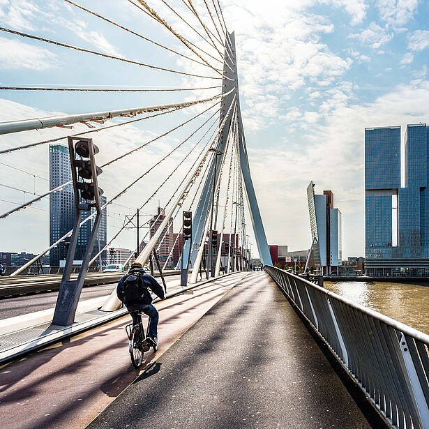 Rotterdam skyline with the Erasmus Bridge and a cyclist