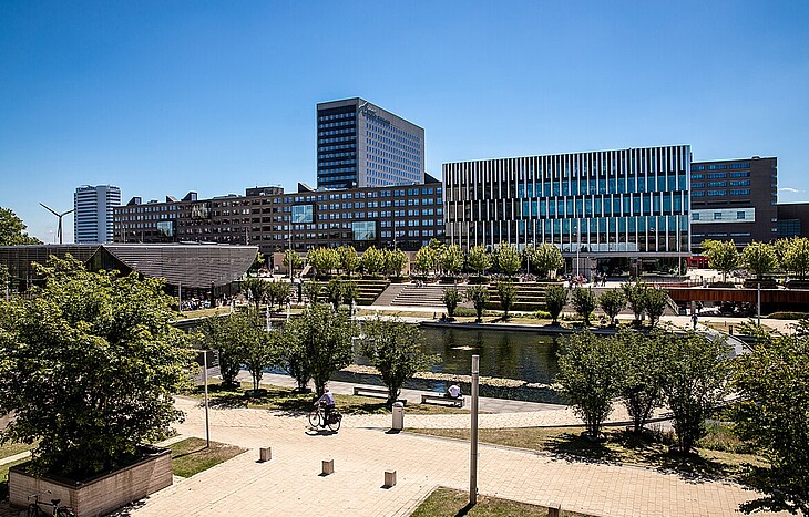 Watch how positive change starts in Rotterdam