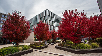 Campus during autumn