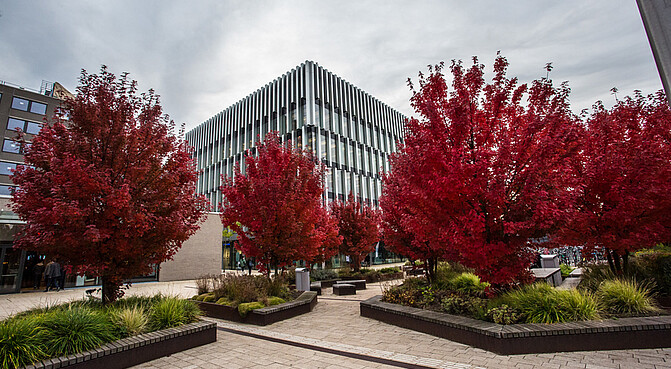 Campus Autumn