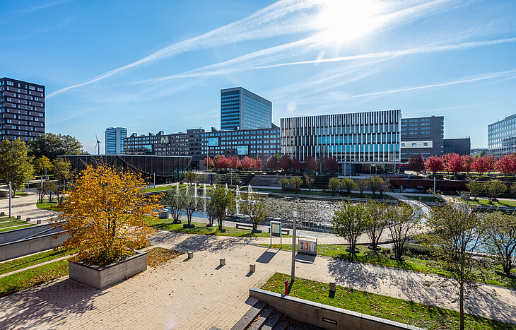 rotterdam school of management master thesis