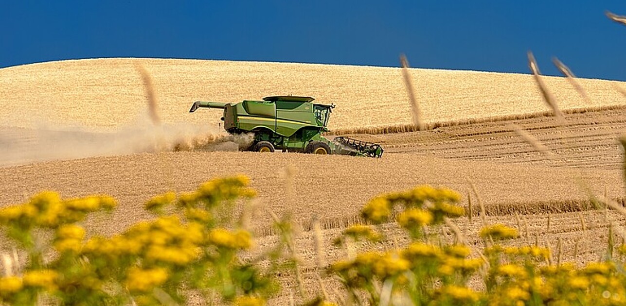 farming