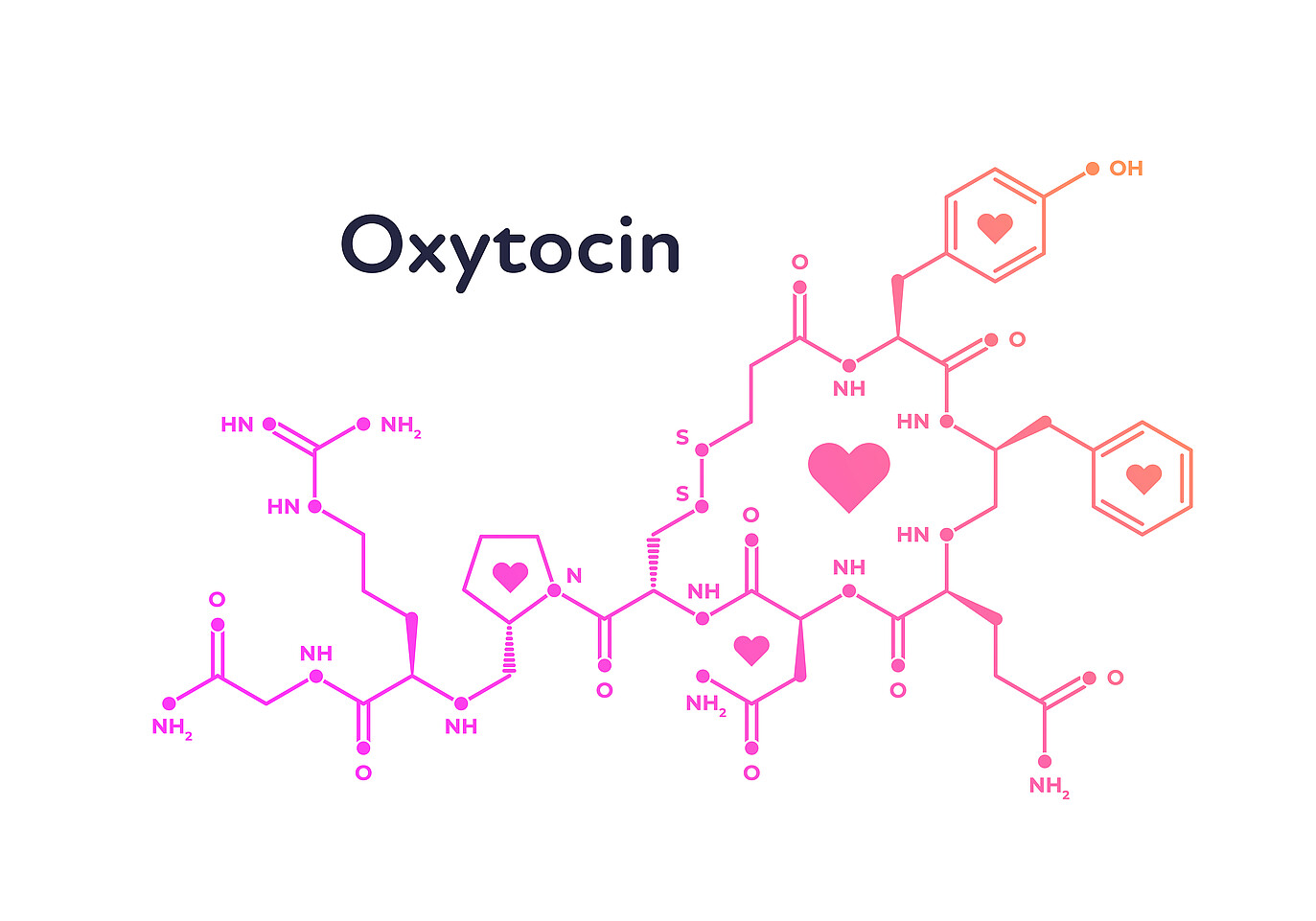 chemical structure of oxytocin