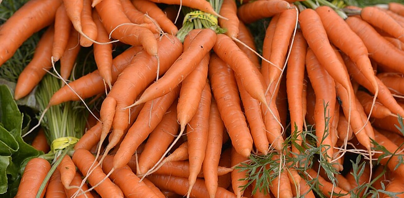 Carrotts